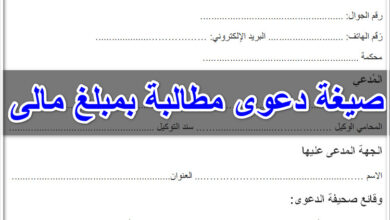 صيغة دعوى مطالبة بمبلغ مالى