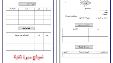 نموذج سيرة ذاتية