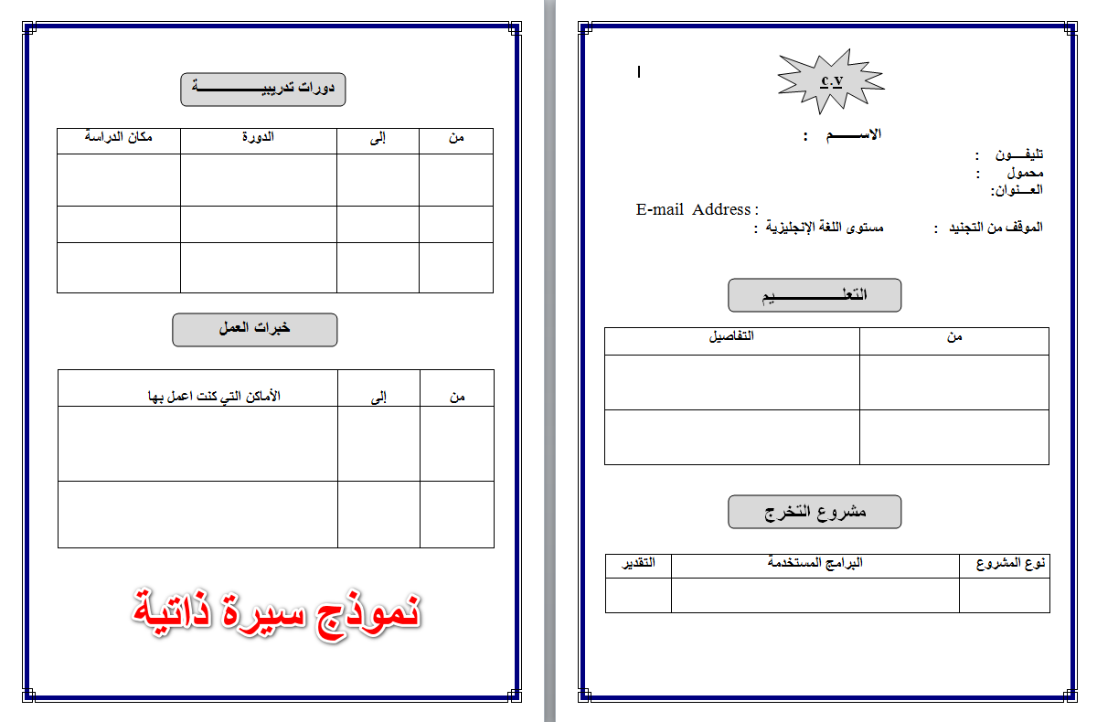 نموذج سيرة ذاتية