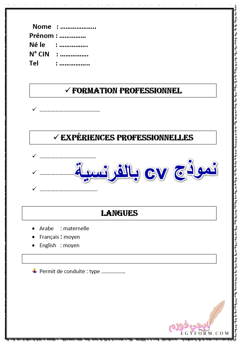 نموذج cv بالفرنسية